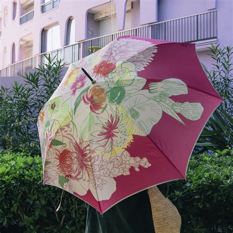 Parapluie canne.